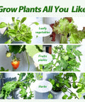 Dope Vertical Hydroponic Growing Tower Kit With Nine Layers And Thirty Six Plant Spots showcasing leafy vegetables, fruits, and herbs.
