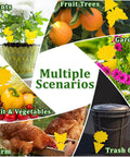 Ultra Thick Yellow Sticky Traps For Fruit Flies And Fungus Gnats With 48 Pack displayed in various garden and home scenarios.