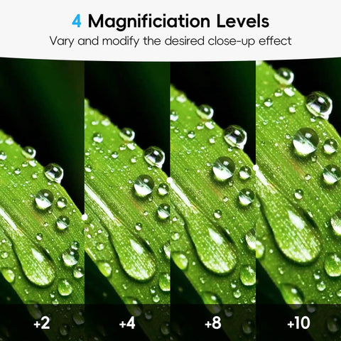 58mm Macro Close-Up Filter Set With +2 +4 +8 +10 Diopters For Close-Up Photography showing magnification on green leaves