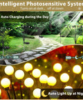 Two Pack Solar Garden Lights With 12 LED Firefly Lights illuminated along a garden pathway, weatherproof outdoor decor
