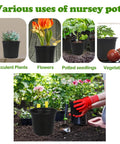 100 Packs Of 4 Inch Plastic Nursery Pots With Drainage Holes For Seed Starting And Transplanting Plants Durable Lightweight Flower Plant Containers For Succulents And Seedlings used for various plants.