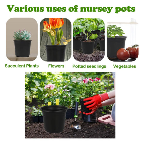 100 Packs Of 4 Inch Plastic Nursery Pots With Drainage Holes For Seed Starting And Transplanting Plants Durable Lightweight Flower Plant Containers For Succulents And Seedlings used for various plants.