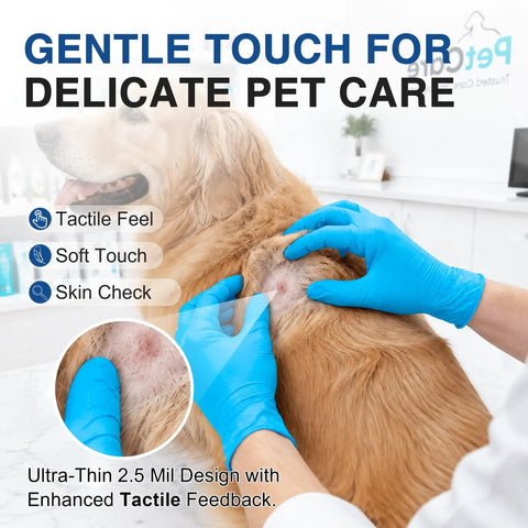 Person wearing blue nitrile exam gloves examining dog's skin, showcasing gentle touch for pet care tasks.