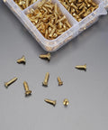 1170 Pcs Micro Screws Set For Electronics And Eyewear, M2 M2.5 M3 Gold Self Tapping Phillips Flat Head Wood Screws in case