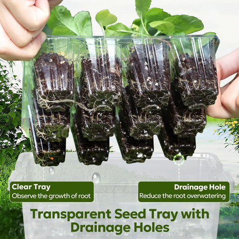 Seed Starter Kit With Grow Light And Elevated Humidity Dome For Seed Starting, Clear Cell Tray, Adjustable Humidity, 12 Full Spectrum LED Beads, Indoor Greenhouse, 6 Pack