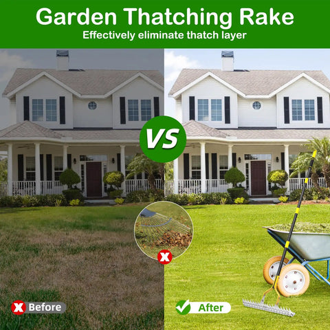 Before and after using Thatch Rake For Lawns 15 Inch Dethatcher With Heavy Duty Steel Tines showing improved aeration and soil health.