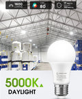 A19 LED Light Bulbs 150W Equivalent 17W 5000K Daylight White 1600 Lumen Energy Efficient UL Listed E26 Base Non Dimmable 4 Pack