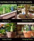 Extra Large Drip Irrigation Stakes No Fuss Easy Refill Four Week Watering System And Large Reservoir Bulbs in various planters