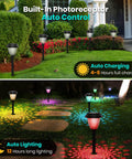 8 Pack Solar Pathway Lights With Warm White And 7 Color Changing Modes illuminating a garden, showcasing waterproof landscape path lighting.