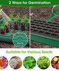 80 Cell Seed Starter Tray Kit With Grow Lights For Seedling Growth 2 Pack showing watering and seeding methods
