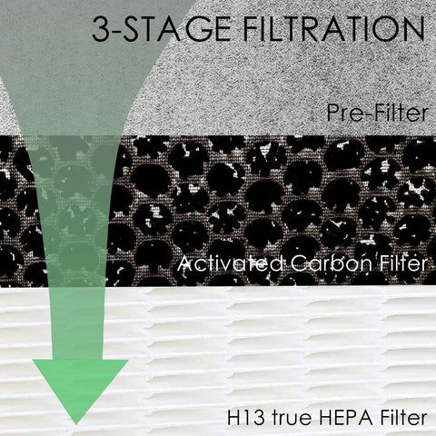 Top Notch 2 Pack True HEPA Replacement Filter Compatible With Shark HE601 And HE602 Air Purifier 99 Point 97 Percent Dust Pet Dander Pollen Capture Easy Install No Tools Required