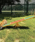 Dog practicing on 71 Inch Wooden Dog Agility Seesaw For Training And Exercise Outdoor Obstacle Courses Pro Grade Dope Fir Wood Ramp