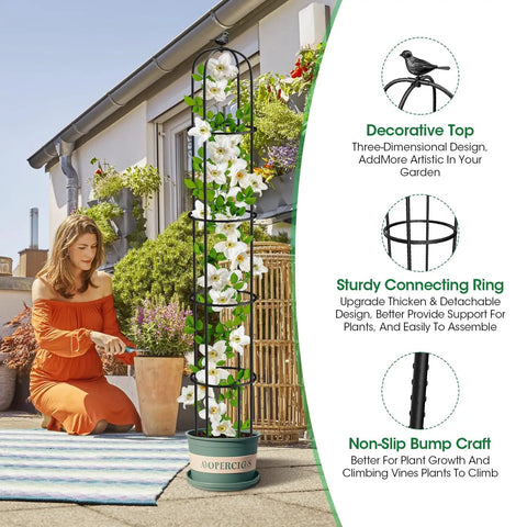 Woman gardening next to a 6.2 ft Double Pack Garden Obelisk Trellis For Climbing Plants, shown with white flowers on a patio.
