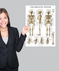 Person holding Muscle And Skeleton And Periodic Table Posters Set For Kids Laminated 18 By 24 Inch Wall Posters 3 Pack