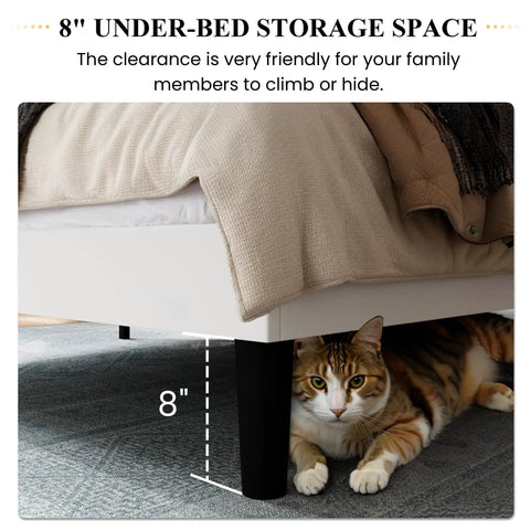 Top Notch Full Size Bed Frame With White Velvet Upholstery And Tufted Wingback Headboard offers 8" under-bed storage space for pets.