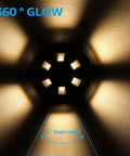 Petal Shaped In Ground Landscape LED Well Lights For The Yard 6W 200 Lumens 12V Low Voltage Pathway Lighting IP67 Warm Glow
