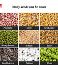 Image showing various seeds like peanuts, corn, soybeans, mung beans, wheat, rice, sunflowers, cotton, and peas for sowing.