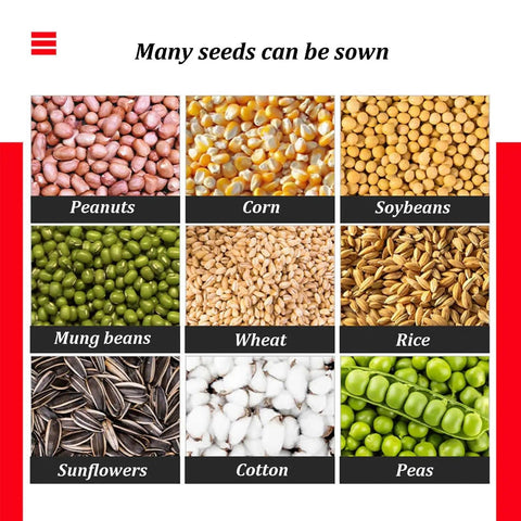 Image showing various seeds like peanuts, corn, soybeans, mung beans, wheat, rice, sunflowers, cotton, and peas for sowing.