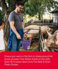 Person holding Purple 2 Gallon Heavy Duty Workhorse Plastic Buckets 2 Pack for farm chores nearby pigs with trees in the background.