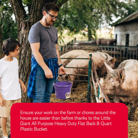 Person holding Purple 2 Gallon Heavy Duty Workhorse Plastic Buckets 2 Pack for farm chores nearby pigs with trees in the background.