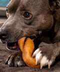Dog enjoying Collagen Twist Keys Dog Chews Chicken Flavor Six Count Pack Made In USA Beefhide Treats For Dogs All Natural No Preservatives