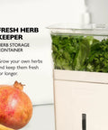 Fresh Herb Keeper For The Fridge With Flip And Slide Lid Acrylic Storage For Herbs And Veggies That Stay Crisp Up To 10 Days Easy Vented Herb Saver For Organizing Your Fridge displaying fresh herbs