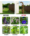 Half Garden Arch Trellis For Climbing Plants Outdoor, Wall Mounted Beefy Black Metal Arbor, 98.4 W x 94.8 H showing plant growth