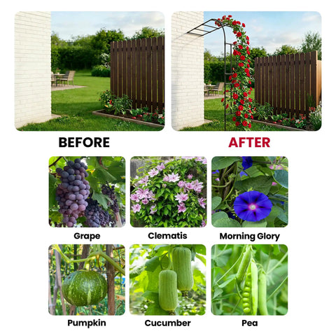 Half Garden Arch Trellis For Climbing Plants Outdoor, Wall Mounted Beefy Black Metal Arbor, 98.4 W x 94.8 H showing plant growth