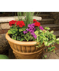 Drip Irrigation Landscaping Kit With Drippers Micro Bubblers And Micro Sprays For Gardens And Flower Beds in a terracotta planter