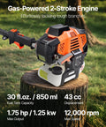 Gas pole saw with 43cc two-stroke engine on a tree stump, highlighting 30 fl. oz. fuel capacity, 1.75 HP, and 12,000 RPM