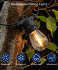 48 Pack LED S14 Replacement Bulbs For Outdoor String Lights, Waterproof E26 Base shown on tree with raindrops