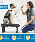Dog using KLIMB Training Platform Kit for Dogs Pro Designed Space for Training Agility and Behavior Fixes Helps Stop Begging