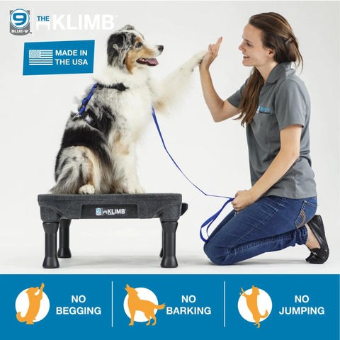 Dog using KLIMB Training Platform Kit for Dogs Pro Designed Space for Training Agility and Behavior Fixes Helps Stop Begging