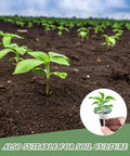 Close-up of young seedlings in soil with inset showing a hydroponic seed pod for indoor gardens, indicating soil and hydroponic use.