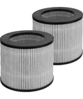 Two Pack Replacement Filter for Bissell 2801 2780 2780A 27809 MyAir Personal, High Efficiency Carbon Filter, Easy Install, Long Lasting