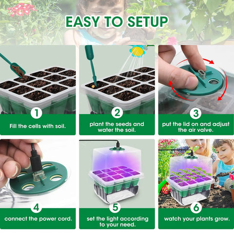 Step-by-step setup of Five Pack Sixty Cell Seedling Trays With Grow Light Kit Indoor Seed Starting Starter Set For Veggies Herbs And Flowers