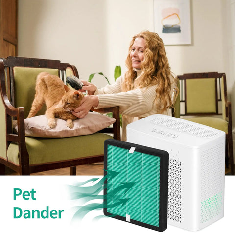 Woman grooming cat near purifier with 4 Pack Replacement Filter Set For YIOU Purifier R1 P1802 And Elechomes P1801, deep green filter visible.