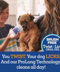 Dog using Twist + Lick peanut butter dental gel for at-home care, image of Dog Dental Gel That Cleans Teeth And Freshens Breath All Day For Your Pup With Peanut Butter Flavor 2 Oz 30 Day Supply Easy To Use Gel That Adheres To Gums For Quick At Home Dental Care.
