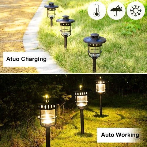 Six Pack Solar Path Lights Outdoor Glass And Bronze Finish With High Lumen Output Two Bright LEDs Waterproof Auto On At Dusk