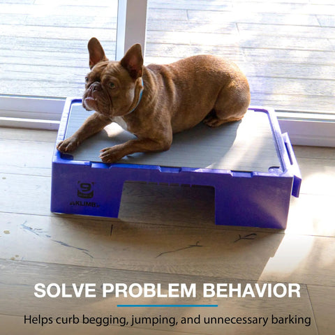Dog lying on purple KLIMB Jr Dog Training Platform For Behavior Basics With DIY Guide Safe Space To Stop Begging Jumping And Barking