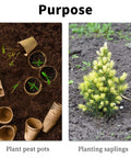 Planting pots and sapling scene: left peat pots with seedlings; right small evergreen sapling planted in soil.