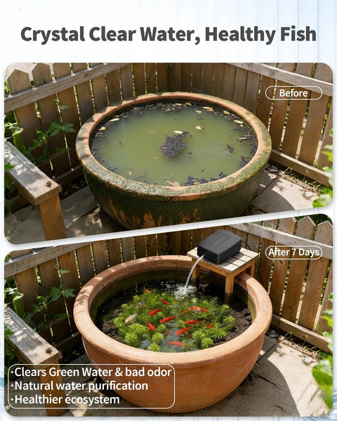 Before and after of pond with Solar Pond Aerator With Battery Backup 3W Solar Air Pump Delivers 24 Seven Oxygenation