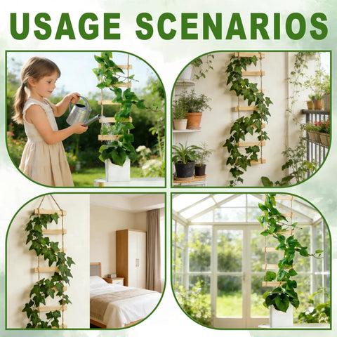 Ultra Tall 3ft Wooden Ladder Trellis for climbing plants used indoors and outdoors with potted vines and greenery.