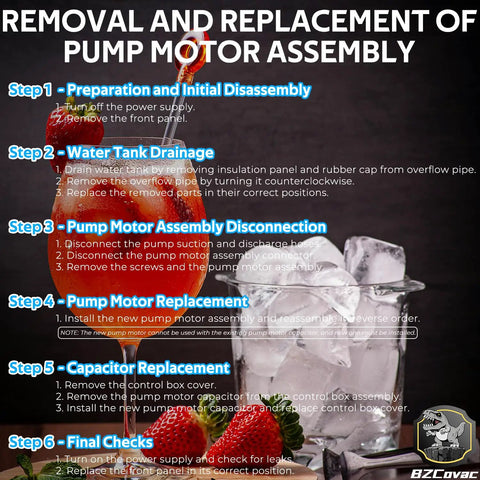 Instructions for Water Pump and Motor Assembly For Hoshizaki Ice Machines With Cable and Plug Service Kit replacement
