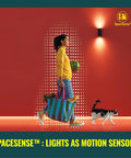 Person walking in front of motion-activated light, carrying groceries with a cat on the floor.