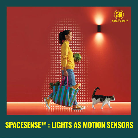 Woman carrying shopping bag with motion-activated light and cat, demonstrating Smart LED Strip Starter Kit 6.6 Foot With 3.3 Foot Extension Full Color Low Voltage Lighting Connects To Your Wi Fi Network No Fuss Setup Control With Voice Or App Works With Google Home Alexa And Siri Shortcuts.