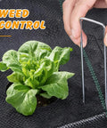 Weed Barrier Landscape Fabric 4 Foot By 100 Foot Woven Ground Cover For Gardening And Landscaping 3.2 Oz UV Resistant Polypropylene being used with U Shaped Stake
