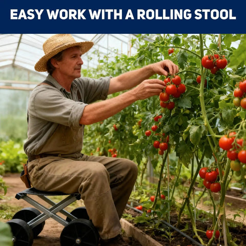 Man using Rolling Garden Stool For Farm Work Foldable Heavy Duty Roller With Wheels For Daily House Work Ideal For Garden Auto Shop Garage Tasks So You Can Move Around Cushioned Seat And Rugged Frame For Long Hours Of Labor in greenhouse