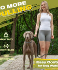 Heavy Duty Slip Lead Dog Leash 6 Ft Half Inch No Pull Training Rope For Large And Medium Dogs Reflective Durable Nylon Loop Leash Comfortable Grip For Safe Night Walks with owner walking large dog