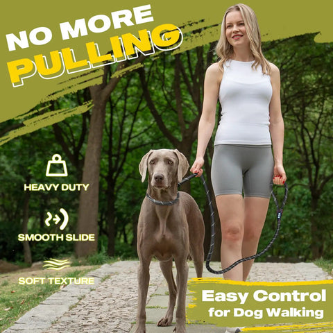 Heavy Duty Slip Lead Dog Leash 6 Ft Half Inch No Pull Training Rope For Large And Medium Dogs Reflective Durable Nylon Loop Leash Comfortable Grip For Safe Night Walks with owner walking large dog